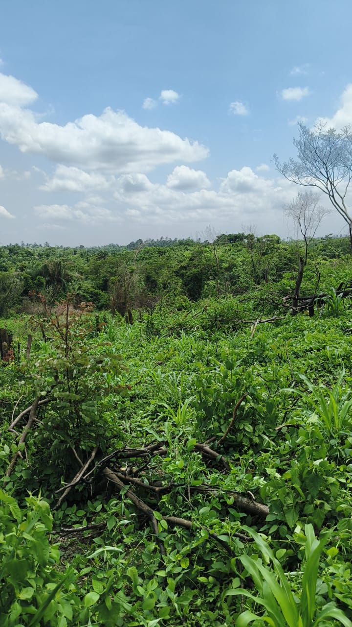 Phase 1 — 650 sqm plot for 5-bedroom fully detached duplex